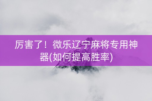 厉害了！微乐辽宁麻将专用神器(如何提高胜率)