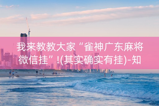 我来教教大家“雀神广东麻将微信挂”!(其实确实有挂)-知乎