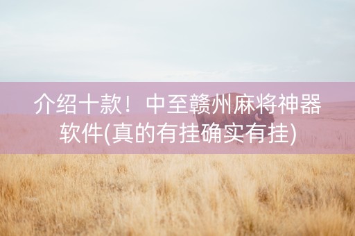 介绍十款！中至赣州麻将神器软件(真的有挂确实有挂)