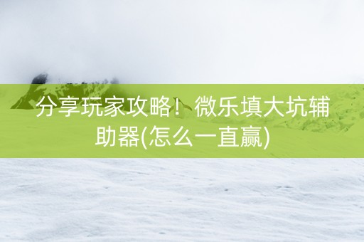 分享玩家攻略！微乐填大坑辅助器(怎么一直赢)