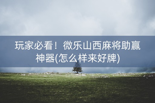 玩家必看！微乐山西麻将助赢神器(怎么样来好牌)