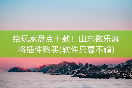 给玩家盘点十款！山东微乐麻将插件购买(软件只赢不输)