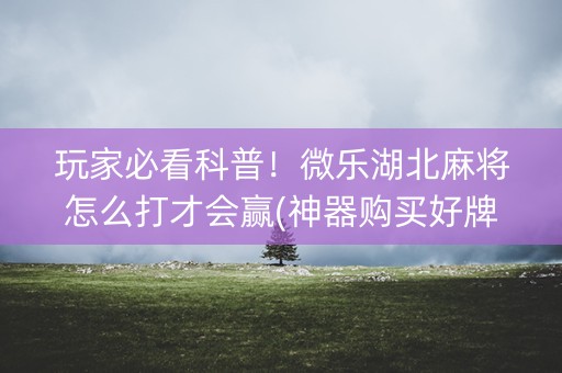 玩家必看科普！微乐湖北麻将怎么打才会赢(神器购买好牌规律)