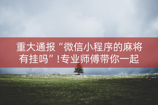 重大通报“微信小程序的麻将有挂吗”!专业师傅带你一起了解（详细教程）-知乎