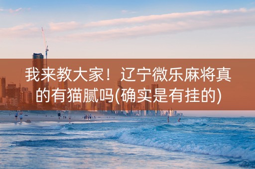 我来教大家！辽宁微乐麻将真的有猫腻吗(确实是有挂的)