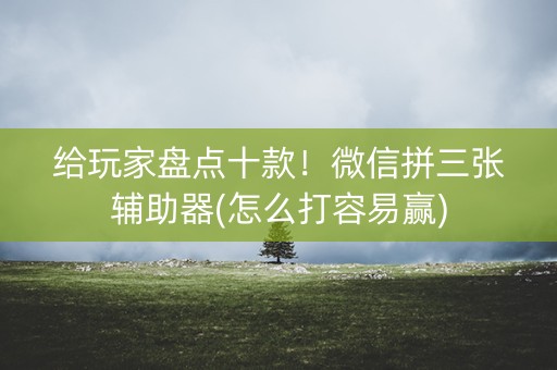 给玩家盘点十款！微信拼三张辅助器(怎么打容易赢)