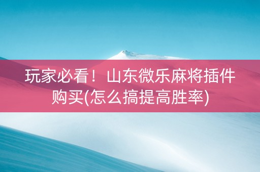 玩家必看！山东微乐麻将插件购买(怎么搞提高胜率)