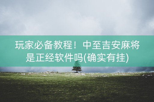 玩家必备教程！中至吉安麻将是正经软件吗(确实有挂)