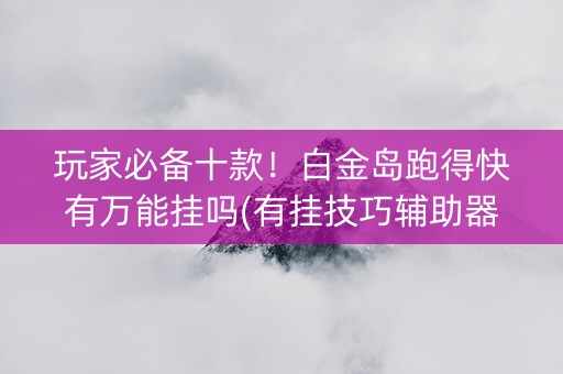 玩家必备十款！白金岛跑得快有万能挂吗(有挂技巧辅助器)
