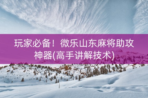 玩家必备！微乐山东麻将助攻神器(高手讲解技术)