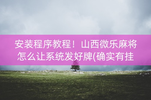 安装程序教程！山西微乐麻将怎么让系统发好牌(确实有挂吗)