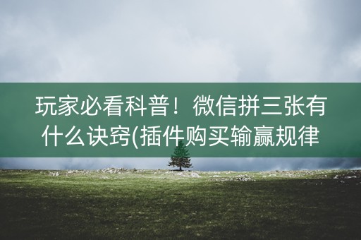 玩家必看科普！微信拼三张有什么诀窍(插件购买输赢规律)