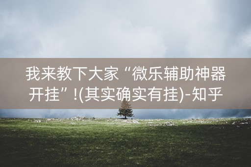 我来教下大家“微乐辅助神器开挂”!(其实确实有挂)-知乎