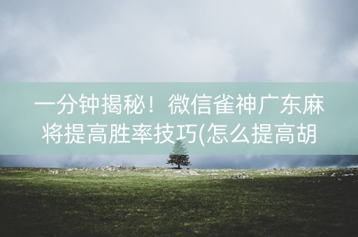 一分钟揭秘！微信雀神广东麻将提高胜率技巧(怎么提高胡牌率)