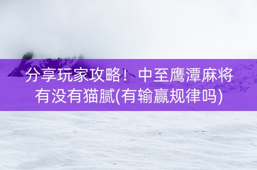 分享玩家攻略！中至鹰潭麻将有没有猫腻(有输赢规律吗)