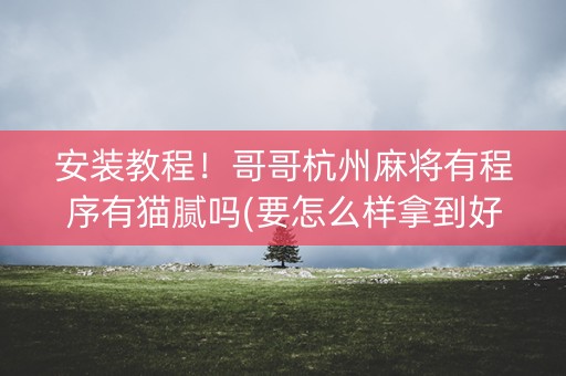 安装教程！哥哥杭州麻将有程序有猫腻吗(要怎么样拿到好牌)