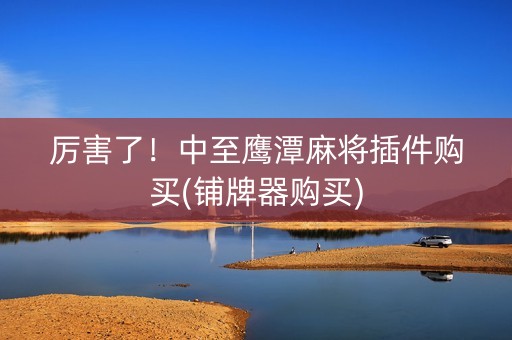厉害了！中至鹰潭麻将插件购买(铺牌器购买)