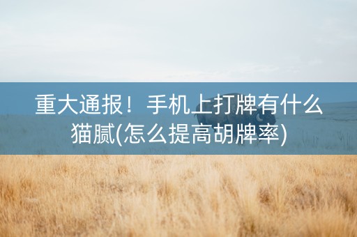 重大通报！手机上打牌有什么猫腻(怎么提高胡牌率)