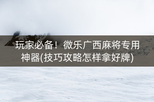 玩家必备！微乐广西麻将专用神器(技巧攻略怎样拿好牌)