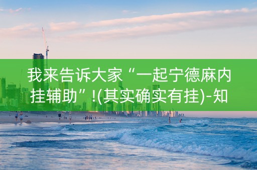 我来告诉大家“一起宁德麻内挂辅助”!(其实确实有挂)-知乎