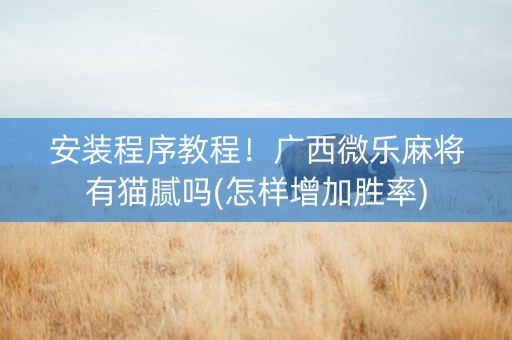 安装程序教程！广西微乐麻将有猫腻吗(怎样增加胜率)