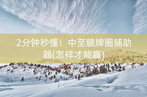 2分钟秒懂！中至赣牌圈辅助器(怎样才能赢)
