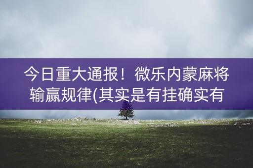 今日重大通报！微乐内蒙麻将输赢规律(其实是有挂确实有挂)