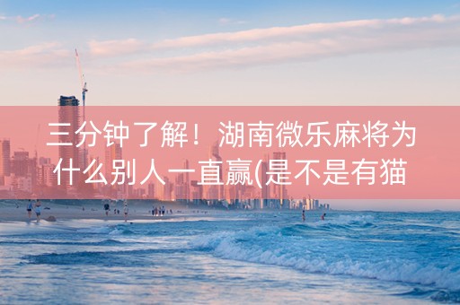 三分钟了解！湖南微乐麻将为什么别人一直赢(是不是有猫腻)