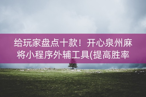 给玩家盘点十款！开心泉州麻将小程序外辅工具(提高胜率软件)