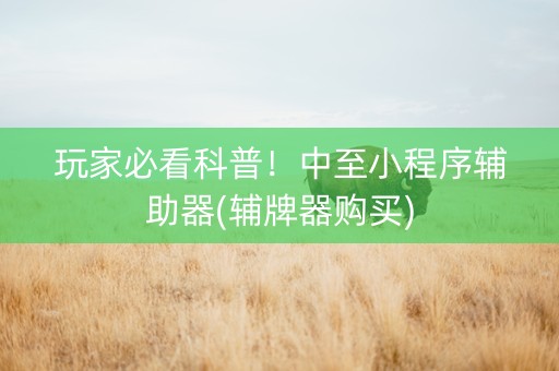 玩家必看科普！中至小程序辅助器(辅牌器购买)