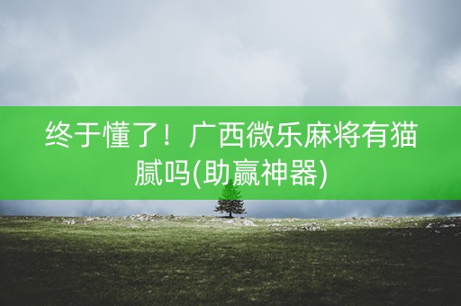终于懂了！广西微乐麻将有猫腻吗(助赢神器)