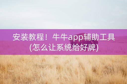 安装教程！牛牛app辅助工具(怎么让系统给好牌)