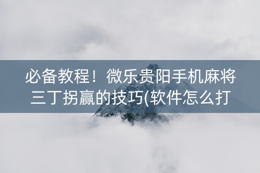 必备教程！微乐贵阳手机麻将三丁拐赢的技巧(软件怎么打赢)