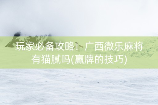 玩家必备攻略！广西微乐麻将有猫腻吗(赢牌的技巧)