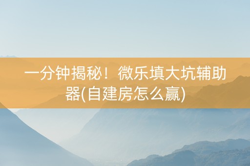 一分钟揭秘！微乐填大坑辅助器(自建房怎么赢)