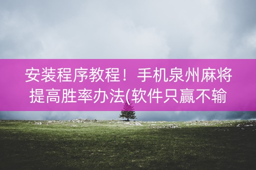 安装程序教程！手机泉州麻将提高胜率办法(软件只赢不输)