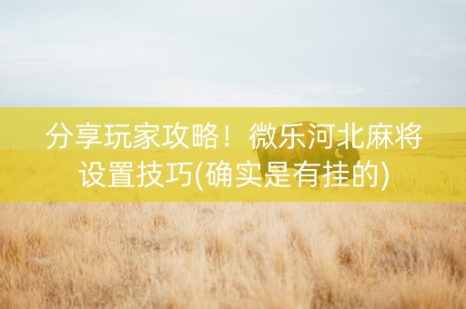分享玩家攻略！微乐河北麻将设置技巧(确实是有挂的)