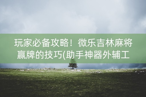 玩家必备攻略！微乐吉林麻将赢牌的技巧(助手神器外辅工具)