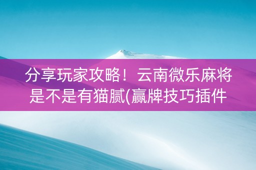 分享玩家攻略！云南微乐麻将是不是有猫腻(赢牌技巧插件安装)