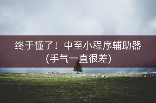 终于懂了！中至小程序辅助器(手气一直很差)