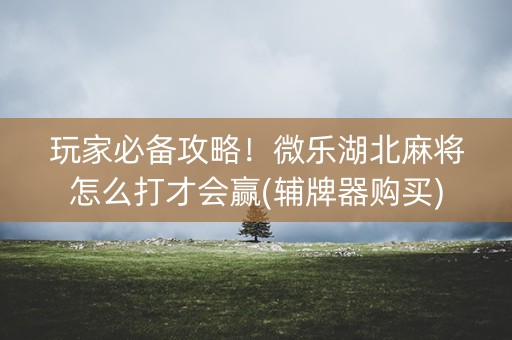 玩家必备攻略！微乐湖北麻将怎么打才会赢(辅牌器购买)