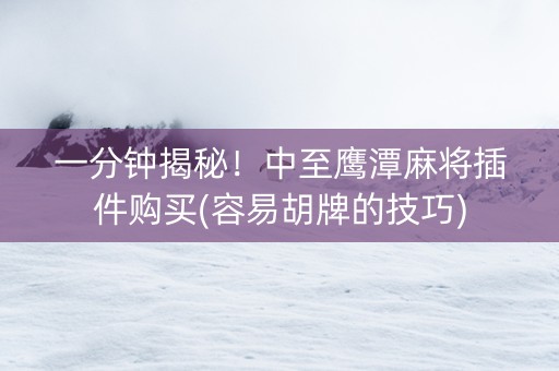 一分钟揭秘！中至鹰潭麻将插件购买(容易胡牌的技巧)