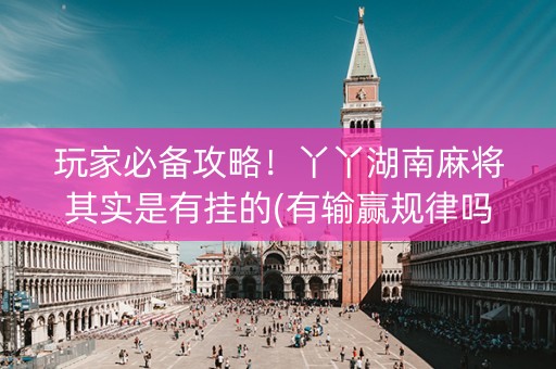 玩家必备攻略！丫丫湖南麻将其实是有挂的(有输赢规律吗)