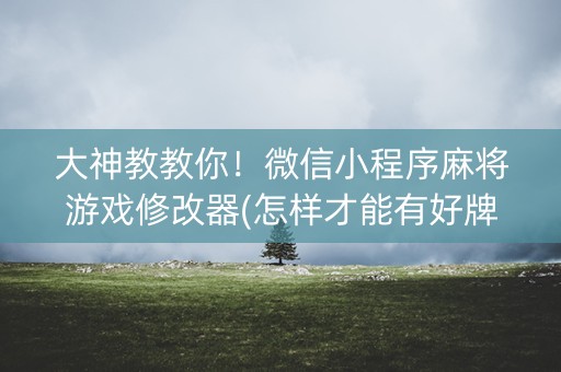 大神教教你！微信小程序麻将游戏修改器(怎样才能有好牌)