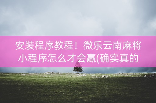 安装程序教程！微乐云南麻将小程序怎么才会赢(确实真的有挂)