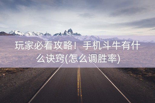 玩家必看攻略！手机斗牛有什么诀窍(怎么调胜率)