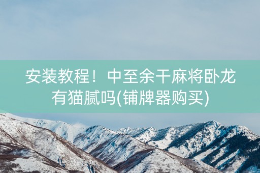 安装教程！中至余干麻将卧龙有猫腻吗(铺牌器购买)