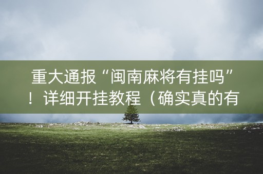 重大通报“闽南麻将有挂吗”！详细开挂教程（确实真的有挂)-知乎
