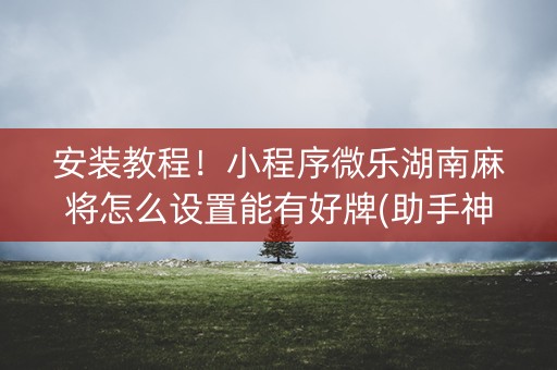 安装教程！小程序微乐湖南麻将怎么设置能有好牌(助手神器外辅工具)
