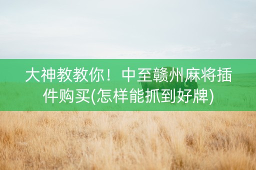 大神教教你！中至赣州麻将插件购买(怎样能抓到好牌)